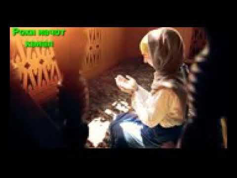 Хочи мирзо дар бораи эхтироми зан