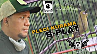 Download lagu Pleci KURAMA Sejalur Panjang || B-PLAT mp3