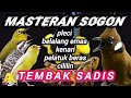 MASTERAN SOGOKONTONG JUARA TEMBAK SADIS FULL MATERI