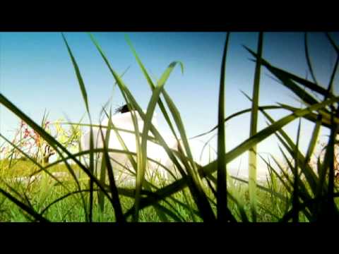 I-Wayne - The Book of Life