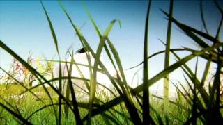 I-Wayne - The Book of Life