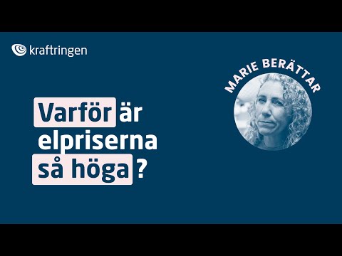 Varför är elpriserna så höga just nu? Vår energiexpert förklarar. (Augusti 2022).