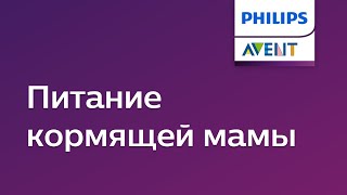 Ссылка