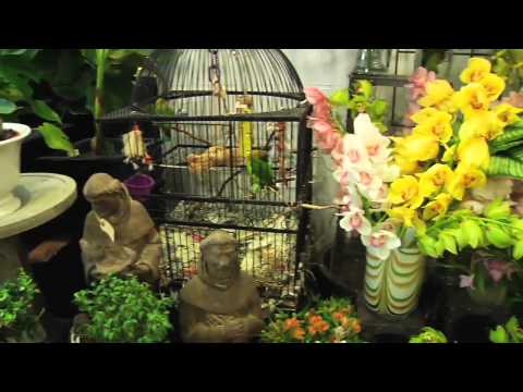 download lagu mp3 mp4 Ottawa Florists Nepean, download lagu Ottawa Florists Nepean gratis, unduh video klip Ottawa Florists Nepean