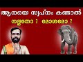 ആനയെ സ്വപ്‌നം കണ്ടാൽ നല്ലതോ മോശമോ Is It Go