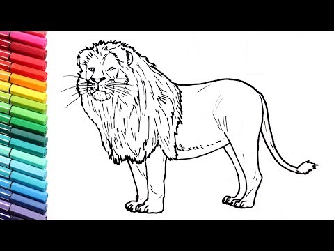 How to Draw a Lion - Learning Wild Animals Color pages for Kids - Learning Colors with Animals