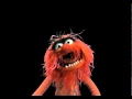 Muppets Online Animal And Bunny