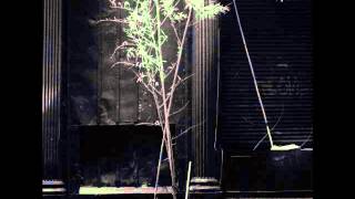 They Can't Take That Away From Me