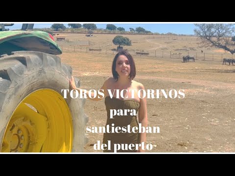 TOROS VICTORINOS para santiesteban del puerto