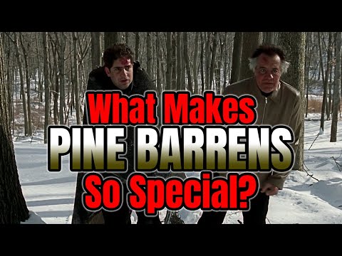 The Brilliance of Pine Barrens - Soprano Theories