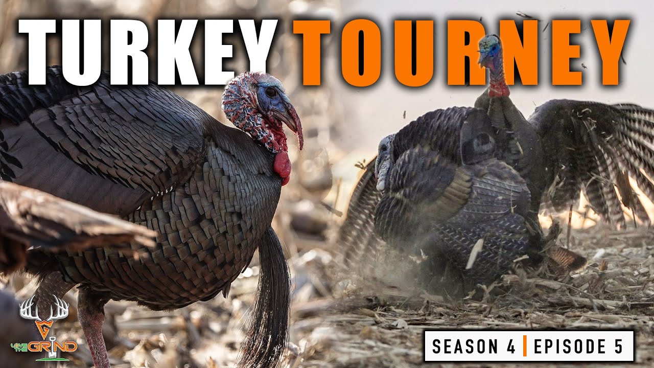 S4E5 Turkey Tourney