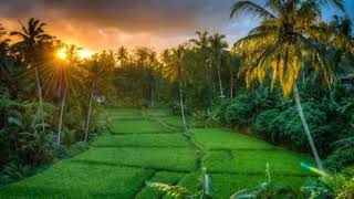 Download lagu Musik Suling Sunda-Bubuy Bulan -Semua Pasti Bisa mp3