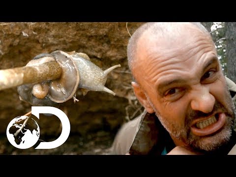 ed stafford fogyás fogyni a menyasszonyok számára