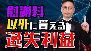 [実況] 逸失利益とは｜弁護士YouTube法律解説