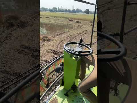 Js 2506 🌱 11 plus Average 👳🏻‍♂️✊🏻