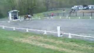 Kaleigh &amp; Way to Go Ro - Oxbow HT