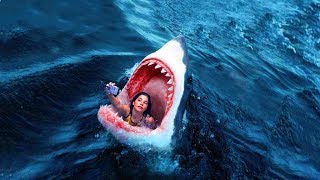 Everything is Awesome!