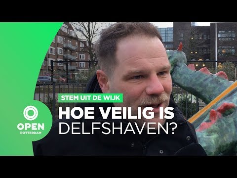 Stem uit de Wijk - Bospolder-Tussendijk; crimineel bolwerk of veilige wijk?