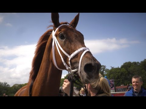 Mowerinaløb 2019 Queen Rouge