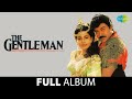 The Gentleman Roop Suhana Lagta Hai Aashiqui Mein Had Se Chiranjeevi Juhi Chawla