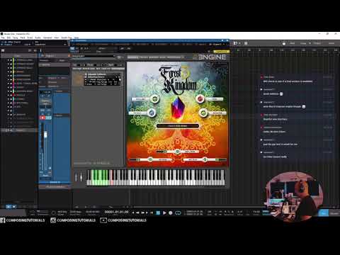 Exploring Forest Kingdom 3 - Eduardo Tarilonte library (Best Service)