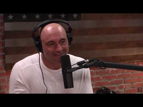 Joe Rogan Freaks Out About Alligators in Florida on Golf Courses & Shark talk JRE clips