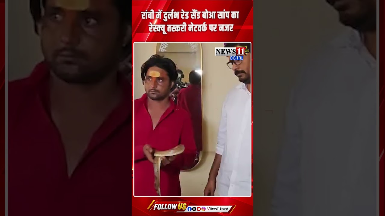 रांची में दुर्लभ रेड सैंड बोआ सांप का रेस्क्यू, तस्करी नेटवर्क पर नजर