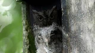 Twilight Song by Mary Chapin Carpenter on her album The Calling 2007