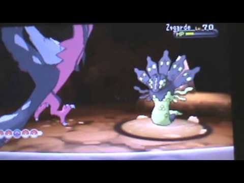 Pokemon X/Y Catching Zygarde