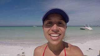 Metal Detecting Pirate Pro Beach Hunt