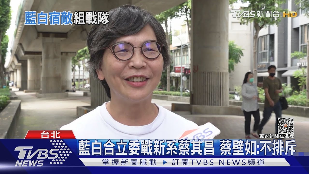 藍白合立委戰新系蔡其昌　蔡壁如：不排斥
