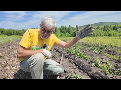Вперёд, товарищи! На дачу! Выпуск от 23.06.26