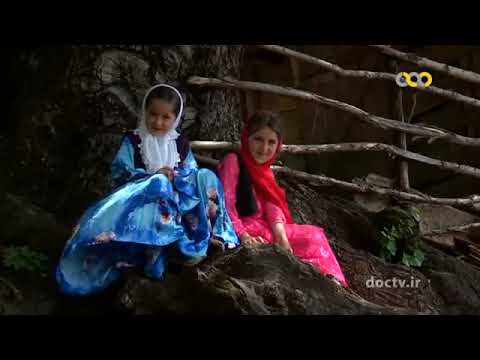 Hyrcanian Forest  Documentary - 1 , Iran 🇮🇷🇮🇷