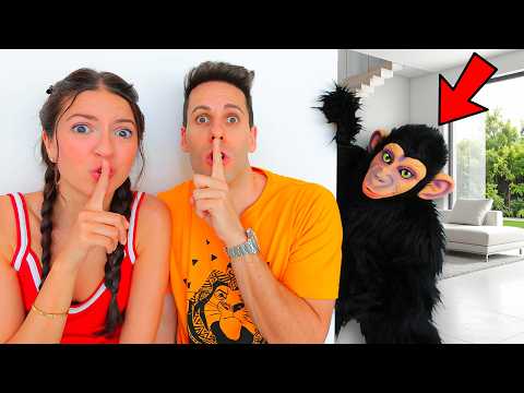 Una SCIMMIA è entrata in CASA NOSTRA!