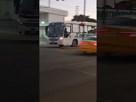 sarmiento interno 303 comil versátile línea Carlos Paz  A terminal de ómnibus de Córdoba #sarmiento