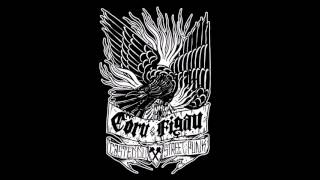 CORU&amp;FIGAU - The Sound Of Revolution (Warzone cover)