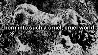 Converge - Wildlife [LYRICS]