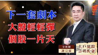 下一套劇本 大盤輕輕彈 個股一片天｜大戶羅盤籌碼動能 ｜謝宗霖 (圖)