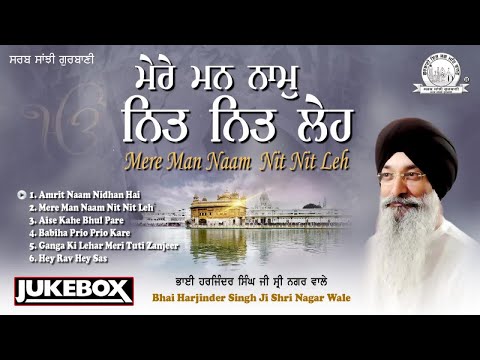 Bhai Harjinder Singh Ji Shri Nagar Wale - Mere Man Naam Nit Nit Leh -Shabad Gurbani Kirtan