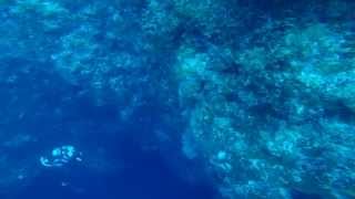 preview picture of video 'Dive the Blue Hole in Romblon'