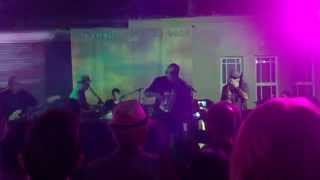 Los Lobos "Gates of Gold" Record Release Party