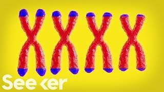 How Are Your Telomeres? They Could Be the Key to How Fast You're Aging