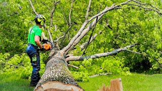 Limbing A Tree Without Getting Stuck | HOW TO