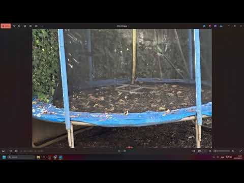 Zoom Test - iPhone 17 Pro Max vs iPhone 14 Pro Max