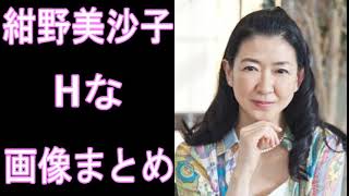 【紺野美沙子】