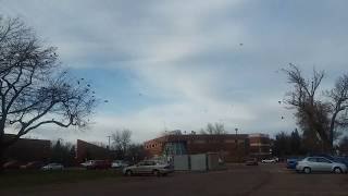 The Black Birds Flying High (full) | The Omen | Day After Ouija Board