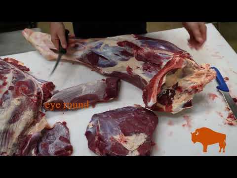 Bison Butchering Time Lapse