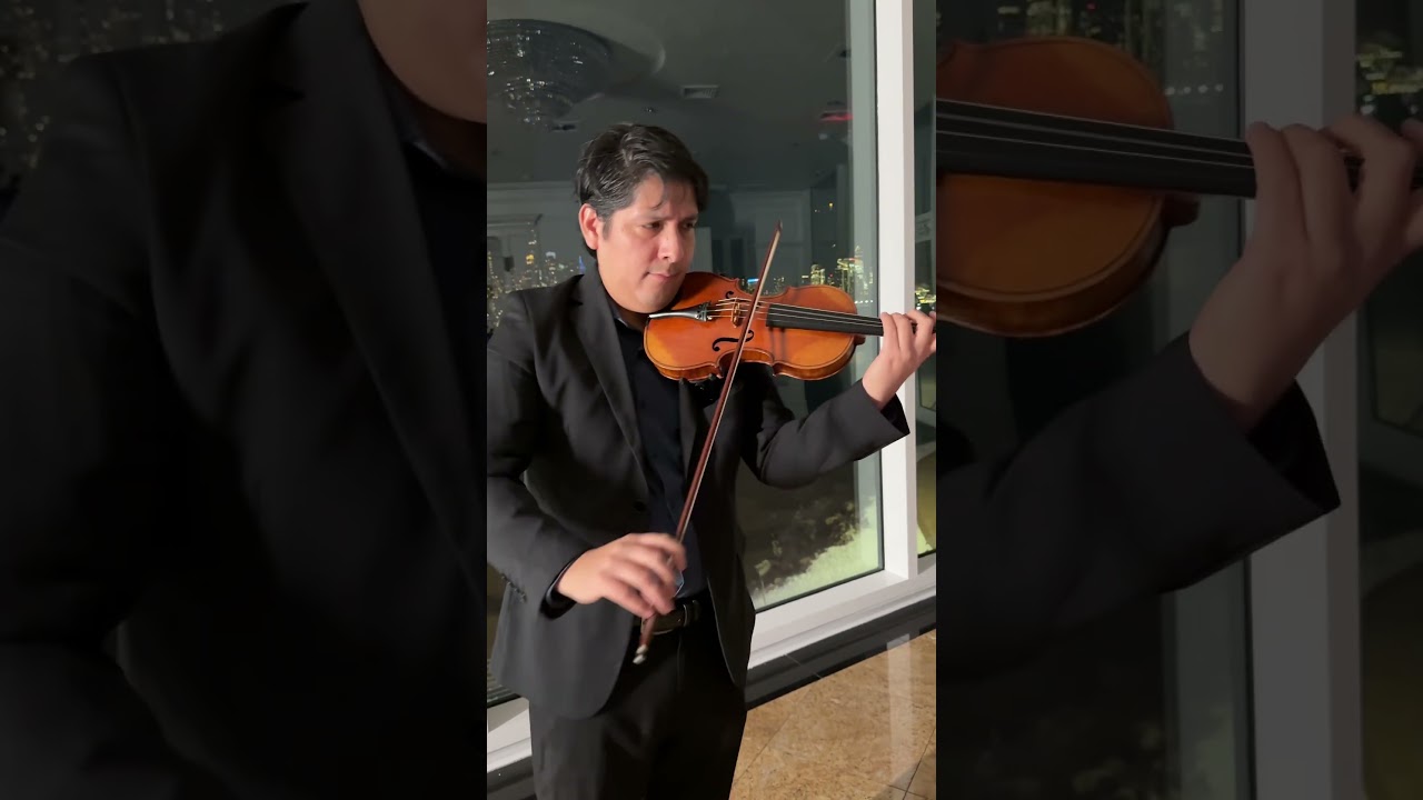 Promotional video thumbnail 1 for The Versatile Violinist