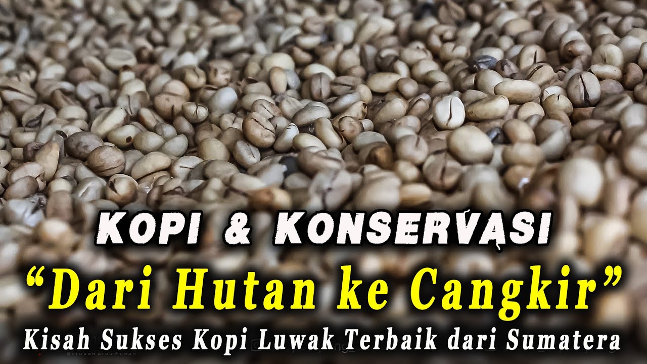 Dari Hutan ke Cangkir: Kisah Kang Rohim, Polisi Hutan yang Menemukan Harapan Lewat Kopi Luwak