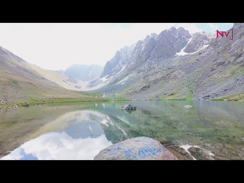 4 FƏSİL BİR ARADA